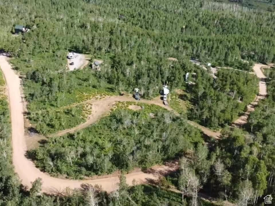 Aerial view of property\'s location featuring a forest