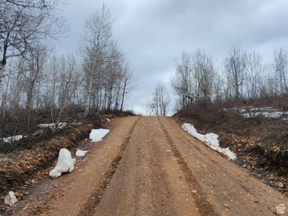 View of dirt / gravel road