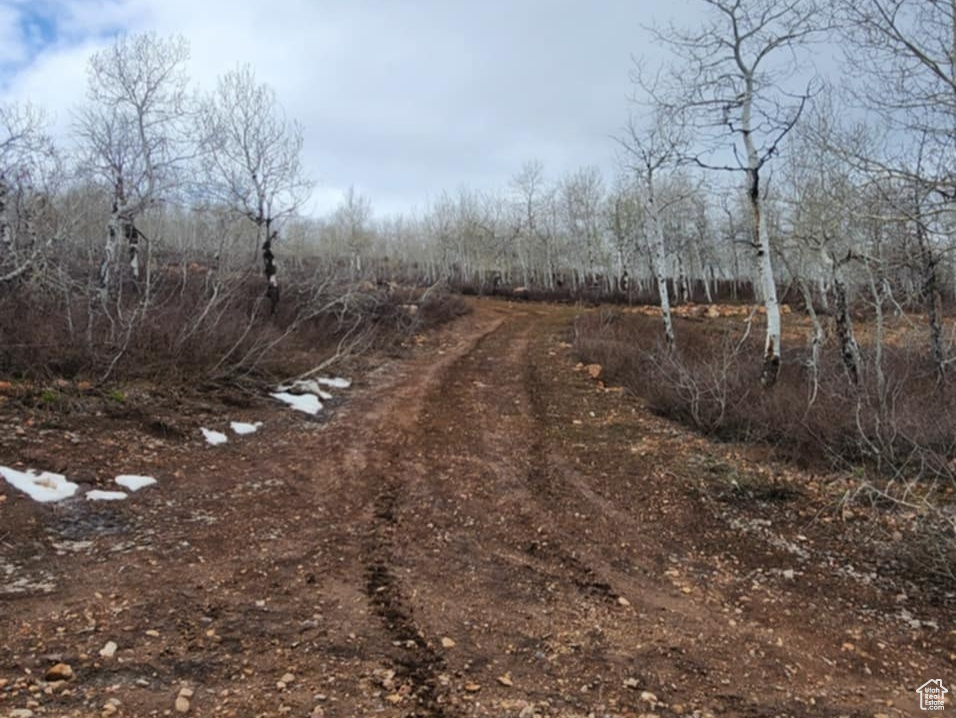 View of road