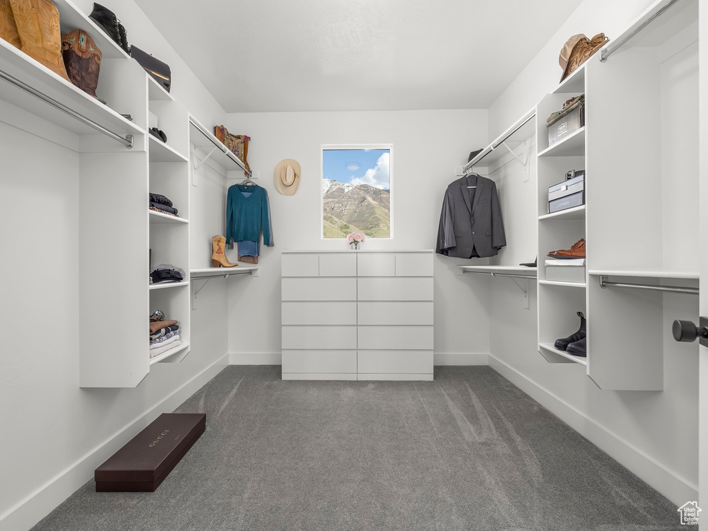 Spacious closet with carpet floors