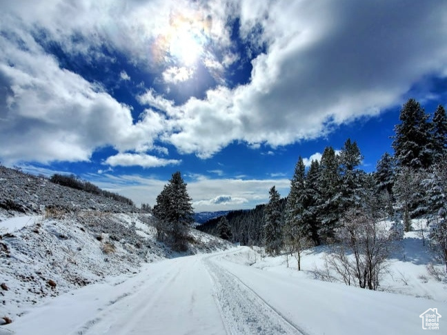 View of road