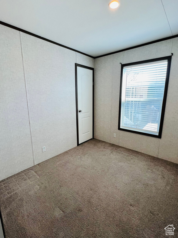 View of carpeted spare room