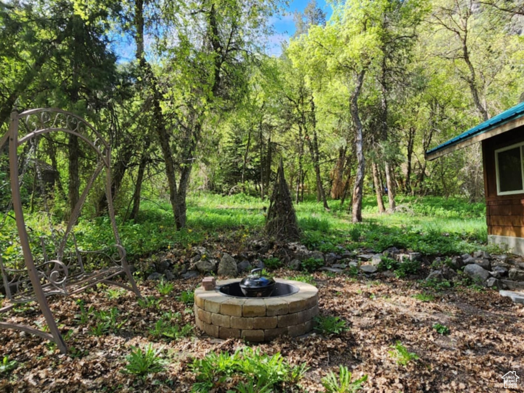 View of yard with a wooded view