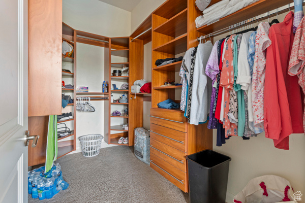 Spacious closet featuring carpet