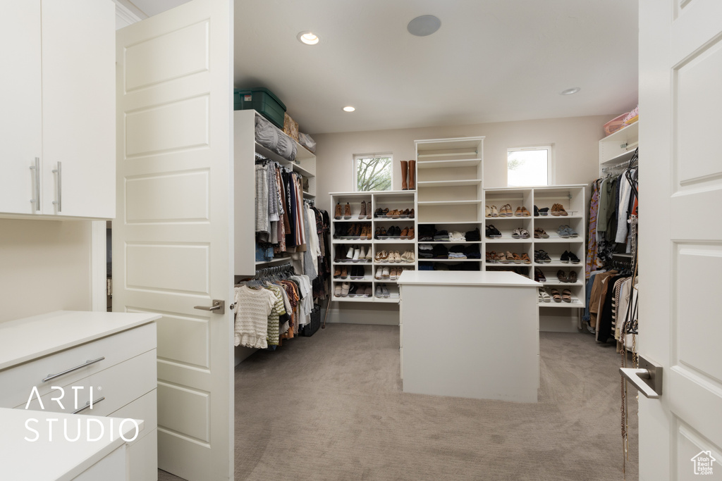 Spacious closet featuring light carpet
