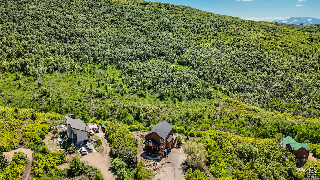 Aerial view of a forest