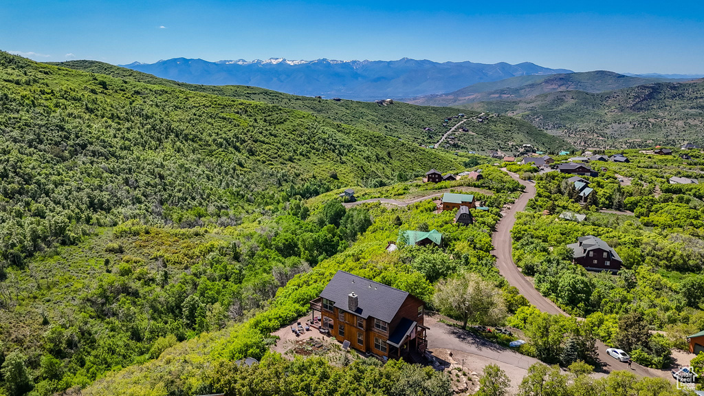Drone / aerial view of a mountain backdrop and a forest