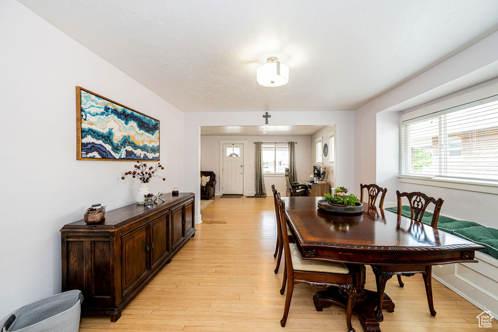 Dining room featuring healthy amount of natural light and light wood-type flooring