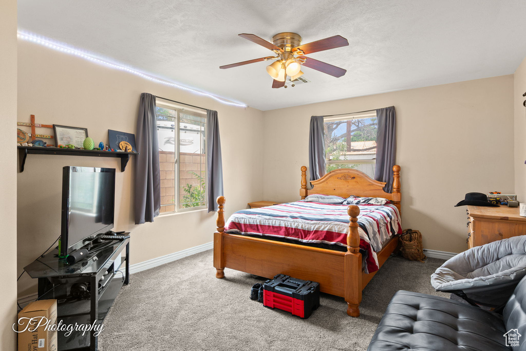 Bedroom with multiple windows, carpet floors, and baseboards