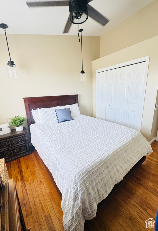 Bedroom featuring ceiling fan, a closet, and wood finished floors