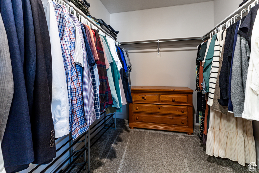 Spacious closet with carpet floors