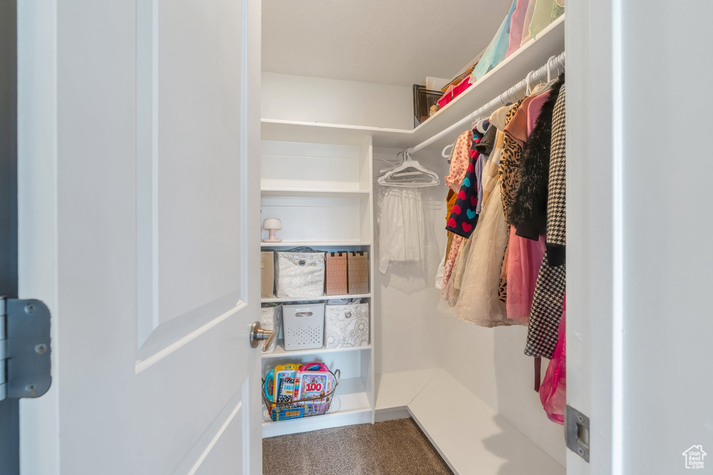 Walk in closet with carpet