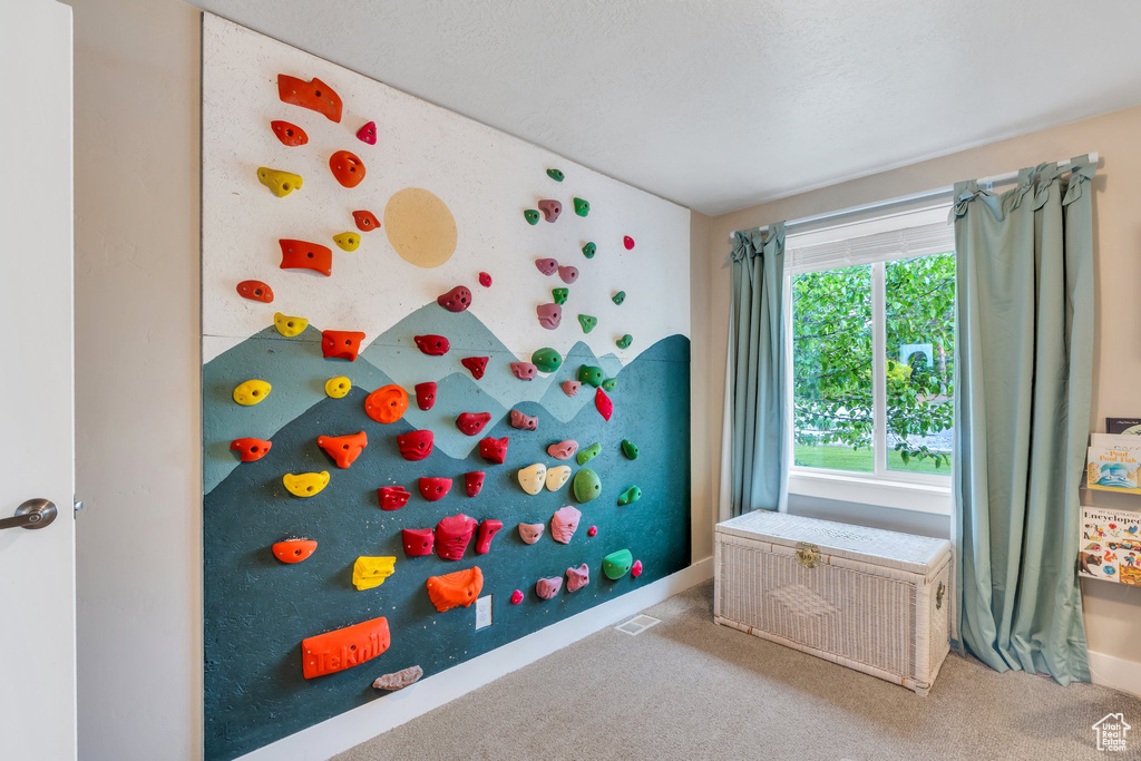 Game room with carpet floors