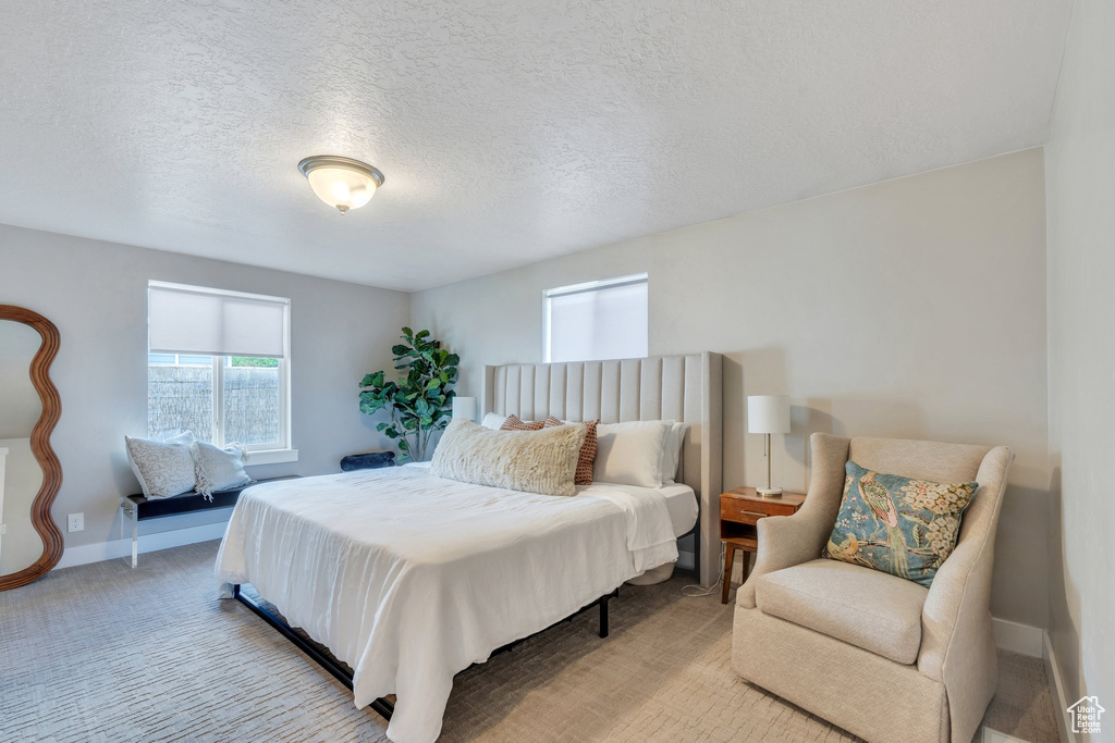 Carpeted bedroom with baseboards and a textured ceiling