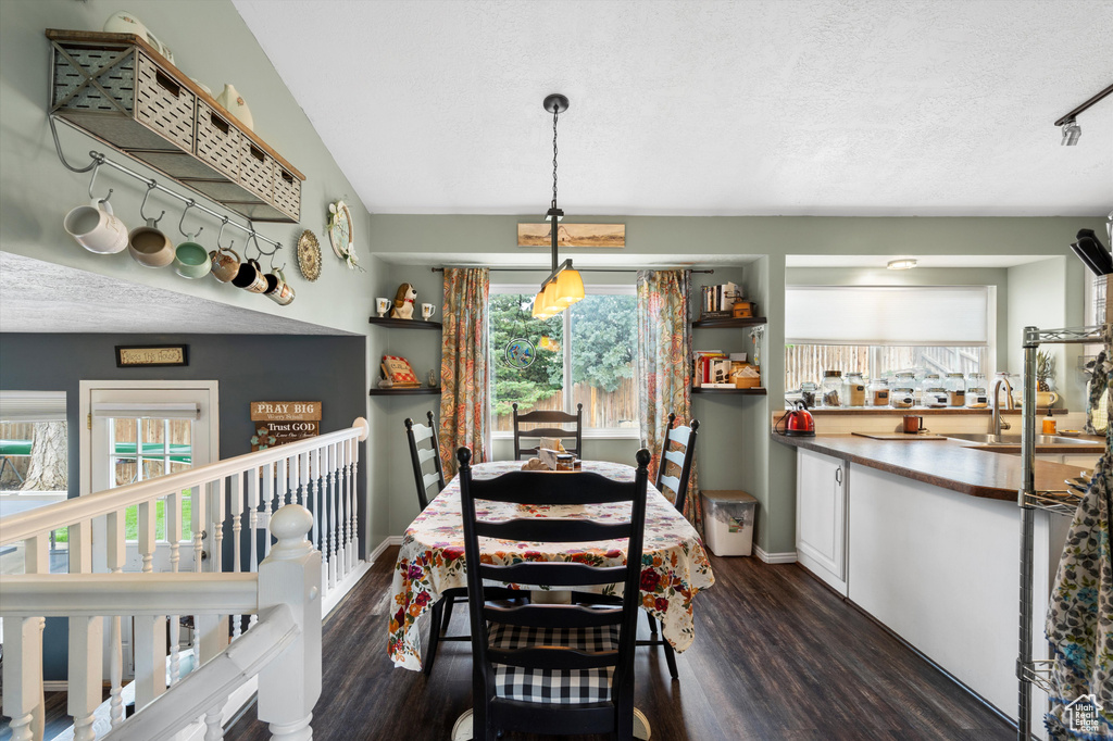 Dining area with dark wood-style floors, plenty of natural light, and a textured ceiling