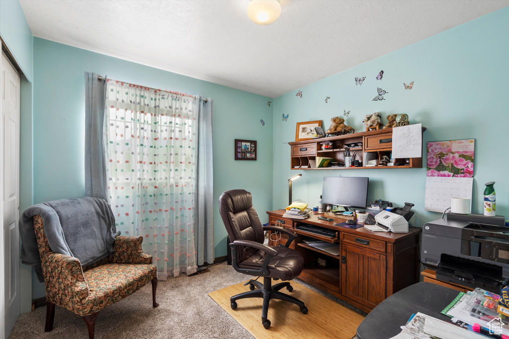 Office with light carpet