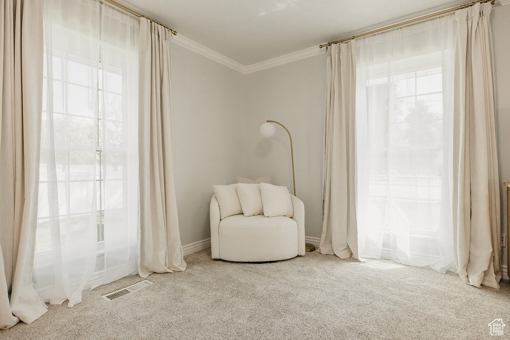 Living area featuring carpet flooring, visible vents, baseboards, and ornamental molding