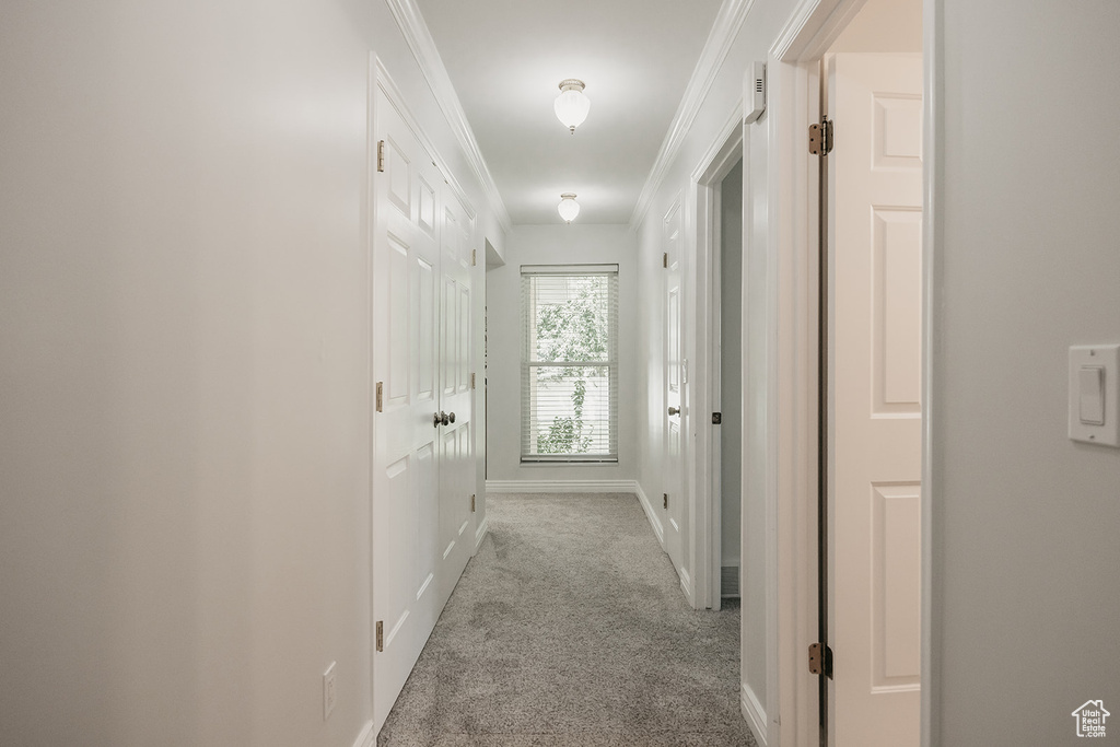 Hallway featuring baseboards, ornamental molding, and carpet floors