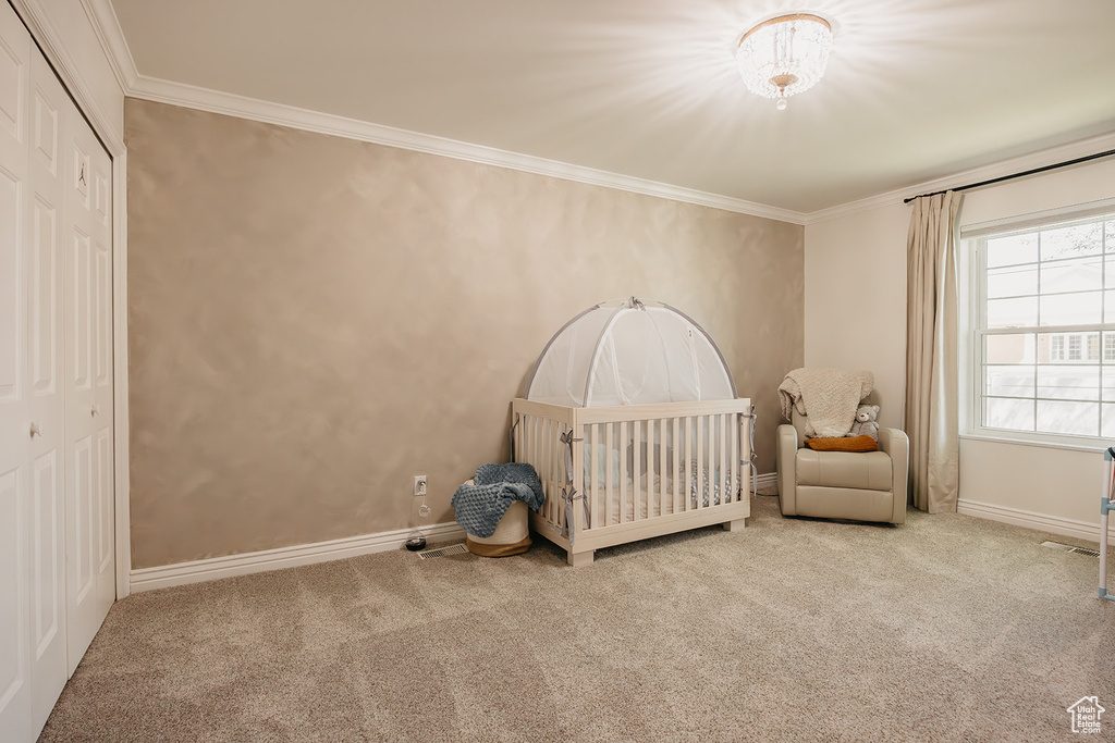 Bedroom with crown molding, carpet, a closet, and baseboards