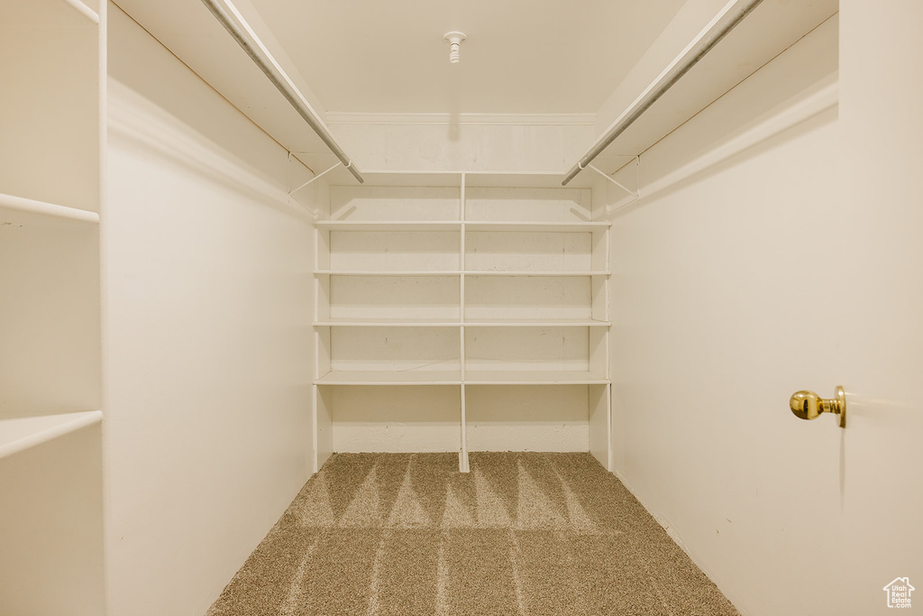 Spacious closet with carpet floors