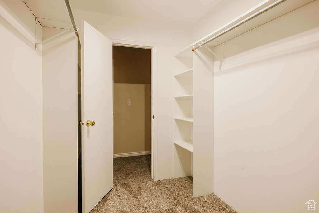 Spacious closet featuring carpet floors