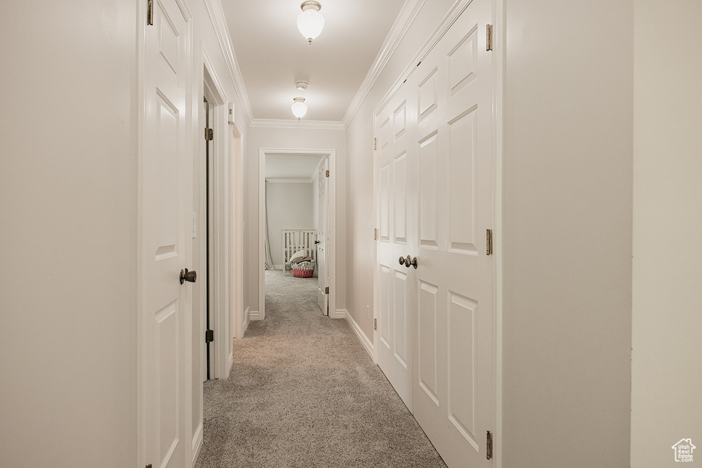 Hall with crown molding, baseboards, and carpet floors