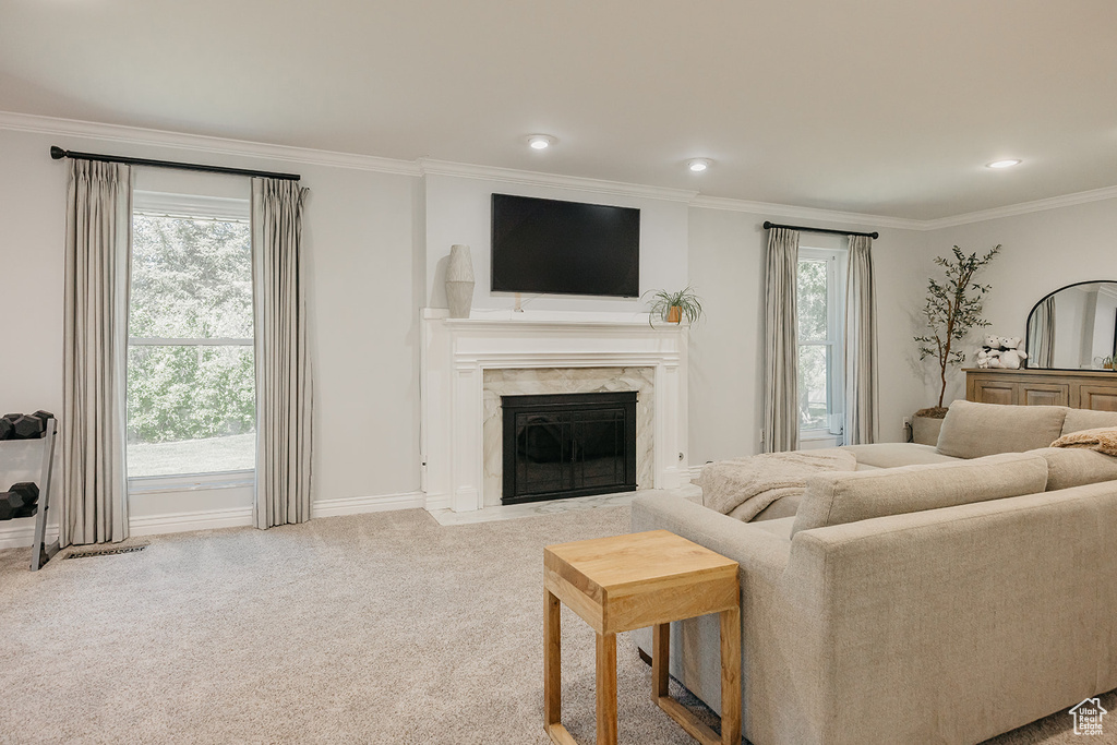 Carpeted living room with a premium fireplace, crown molding, baseboards, and plenty of natural light