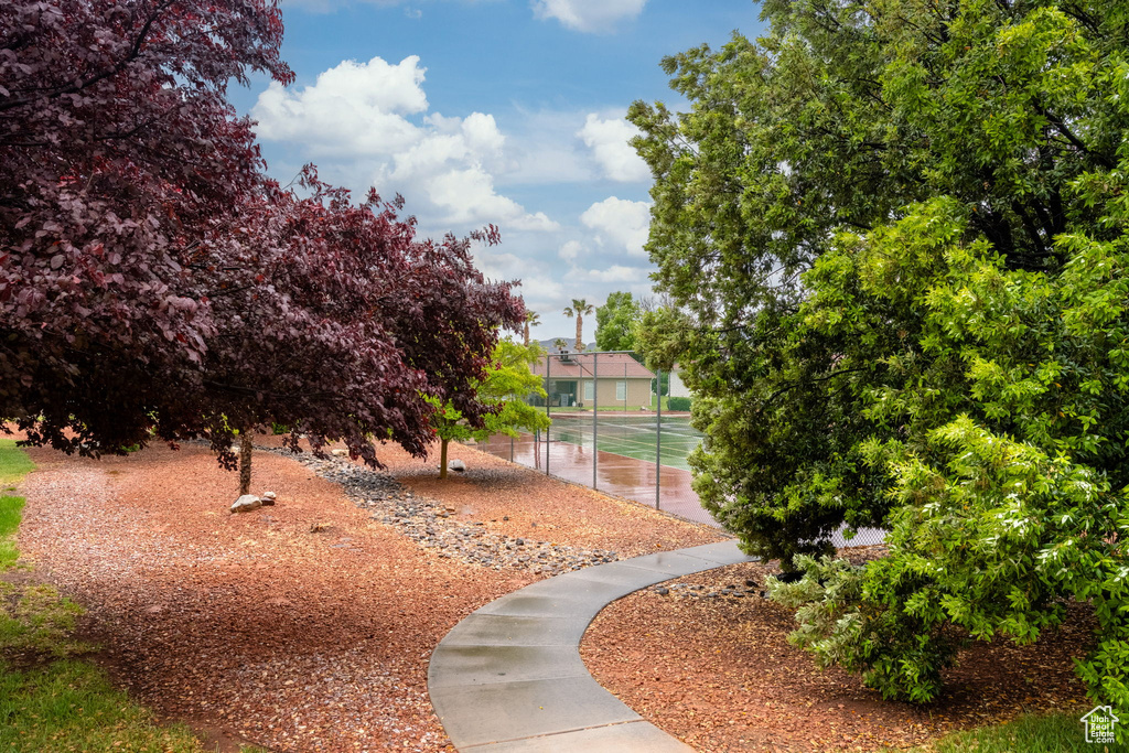 View of community