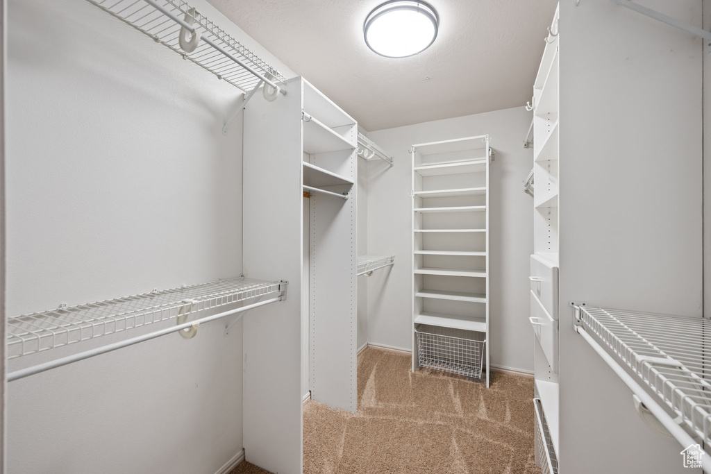 Spacious closet featuring carpet flooring