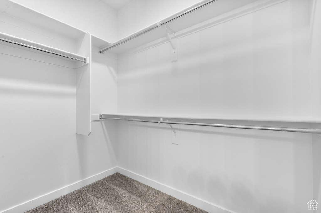 Spacious closet featuring dark carpet