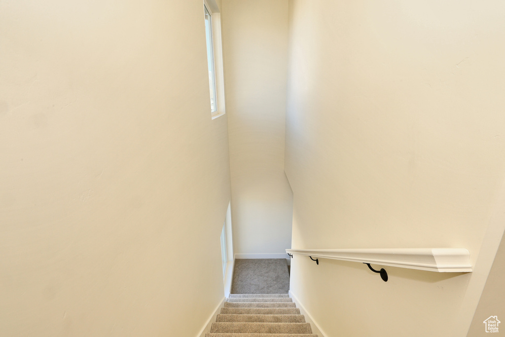 Stairway featuring carpet and baseboards
