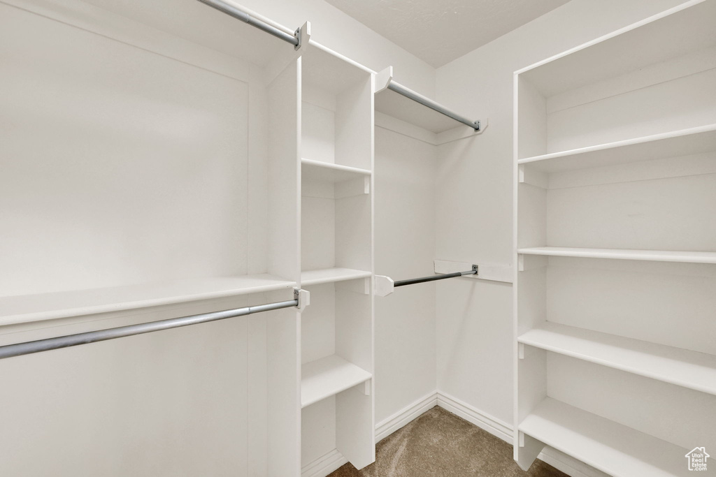 Walk in closet with carpet floors