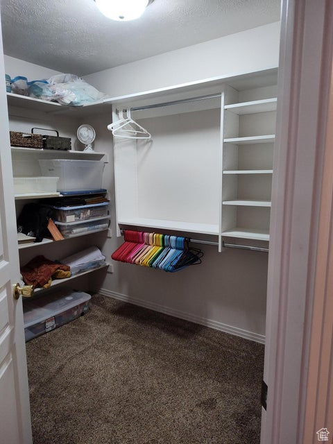Walk in closet featuring carpet flooring