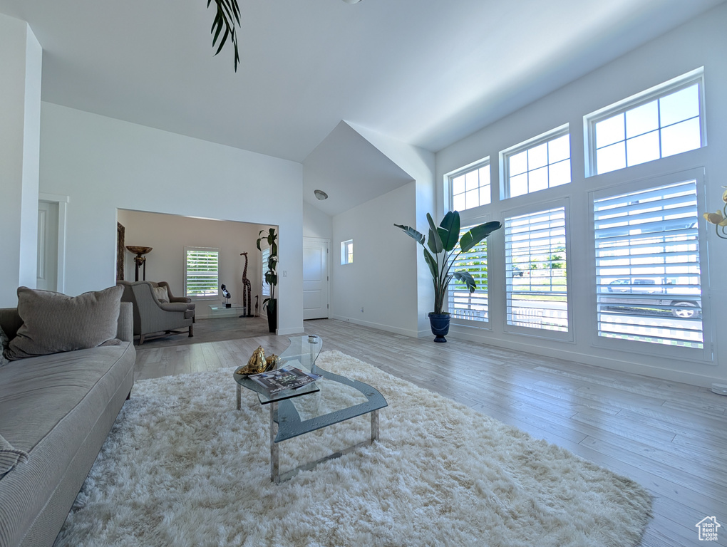 Living room with wood finished floors, plenty of natural light, baseboards, and a high ceiling
