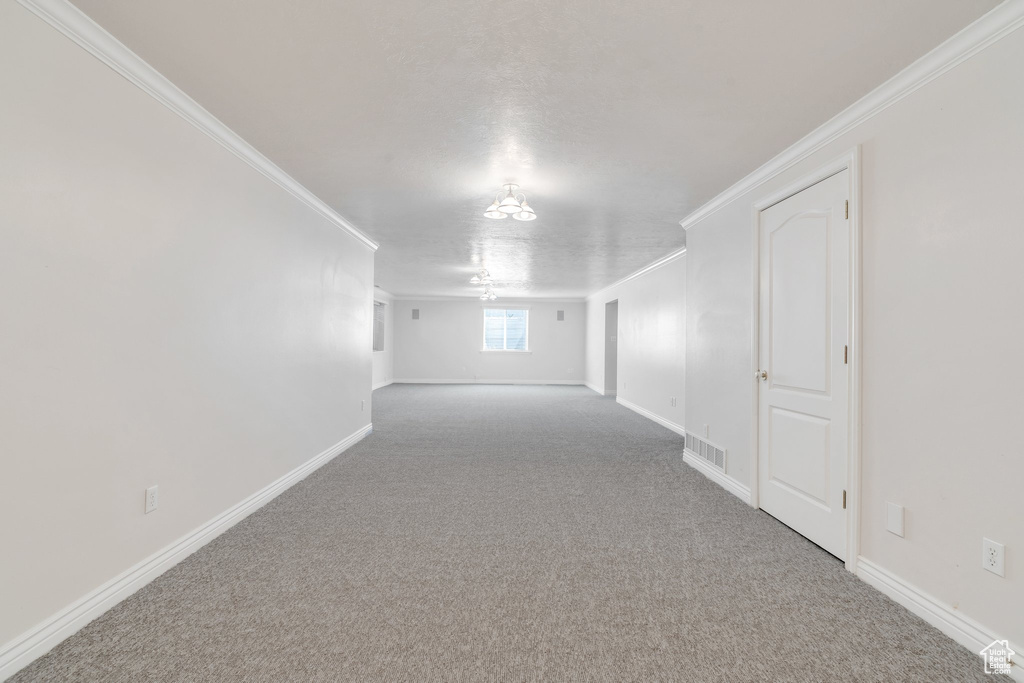Carpeted spare room featuring crown molding and baseboards