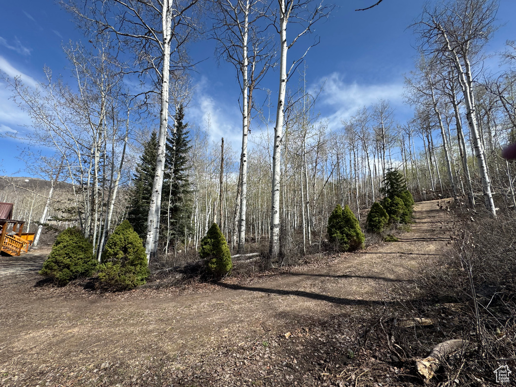 View of undeveloped land