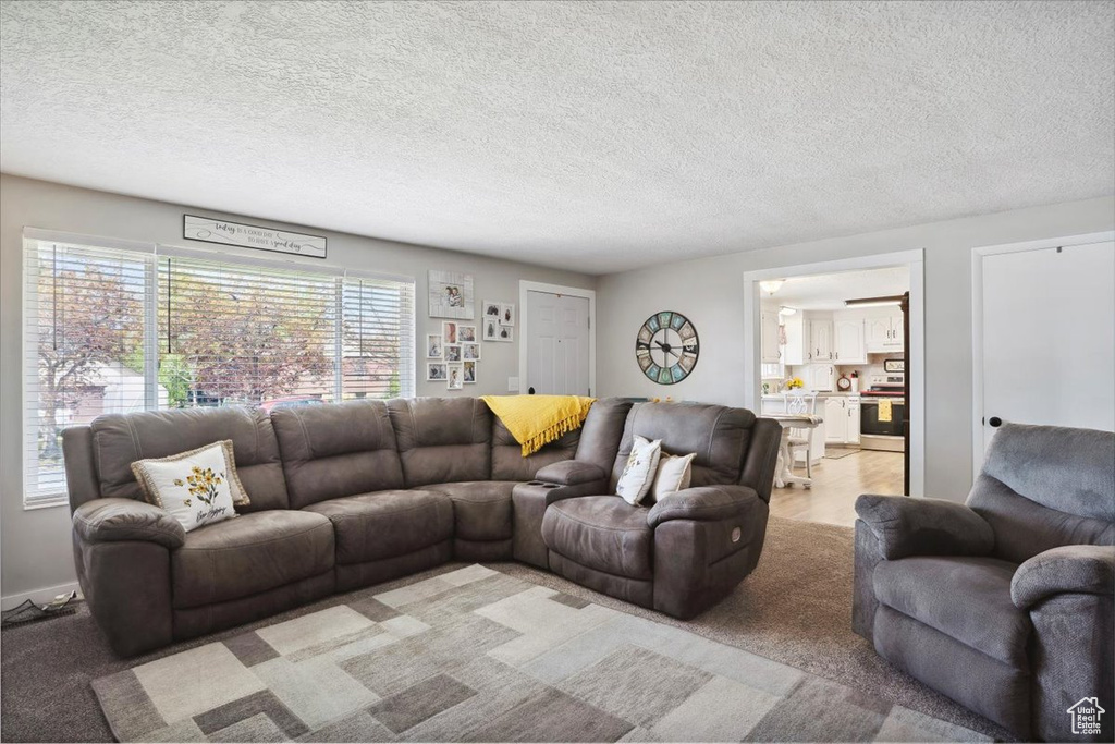 Living area with a textured ceiling and light colored carpet