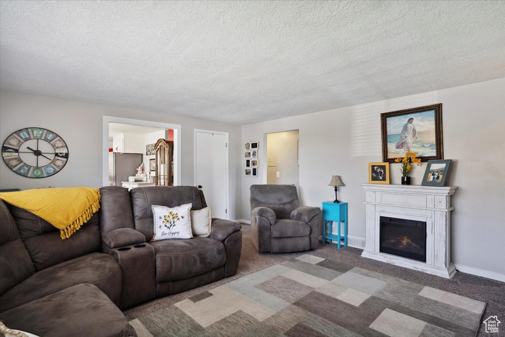 Living room featuring a textured ceiling, carpet flooring, a warm lit fireplace, and baseboards