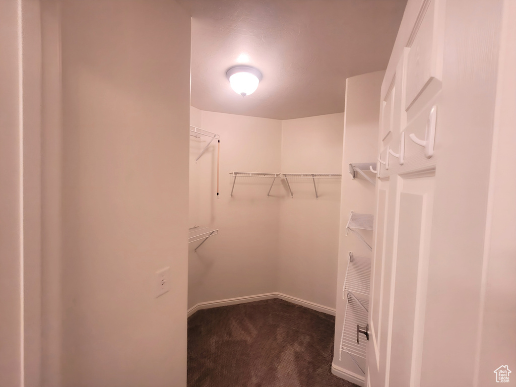 Walk in closet featuring dark carpet