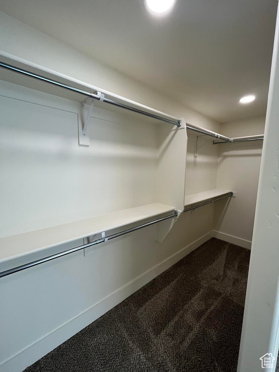 Walk in closet with dark colored carpet