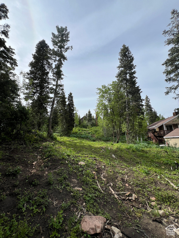 View of wooded area