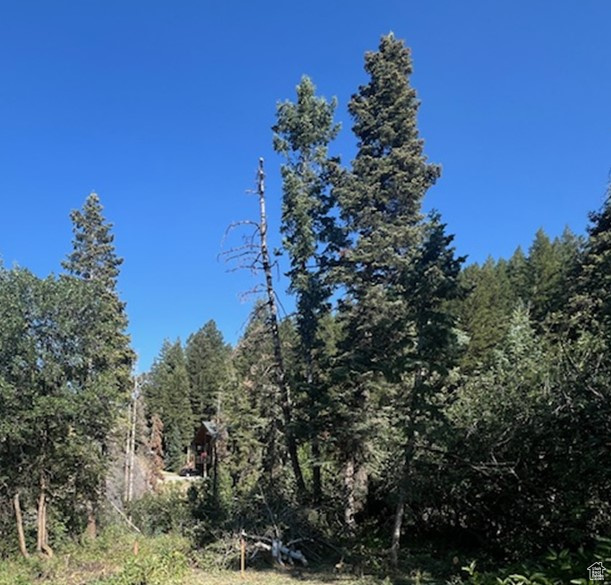 View of wooded area