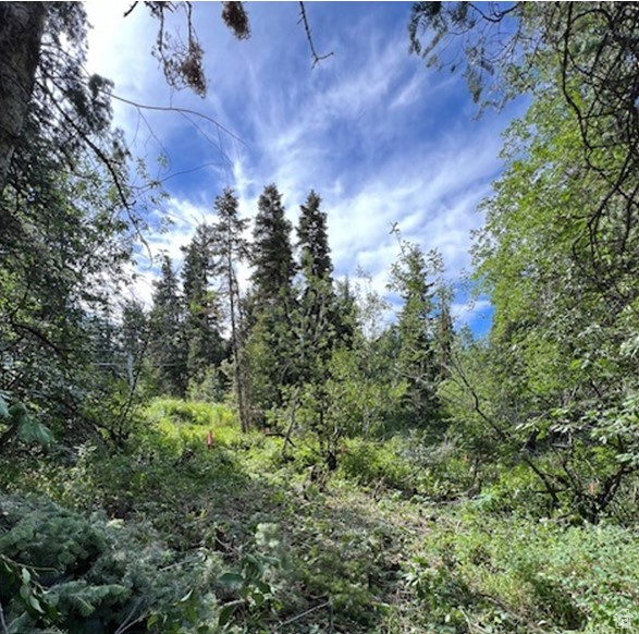 View of nature