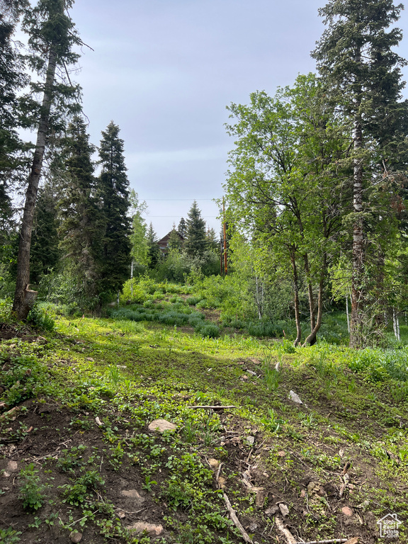 View of undeveloped land