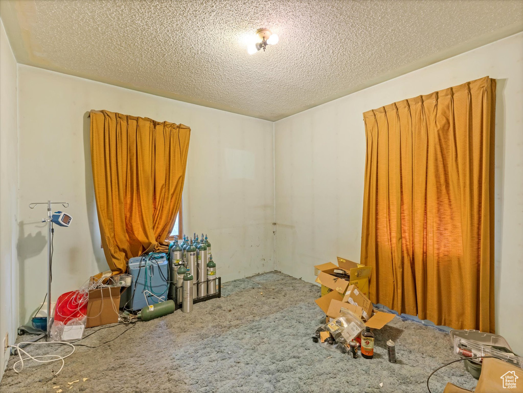 Carpeted spare room with a textured ceiling