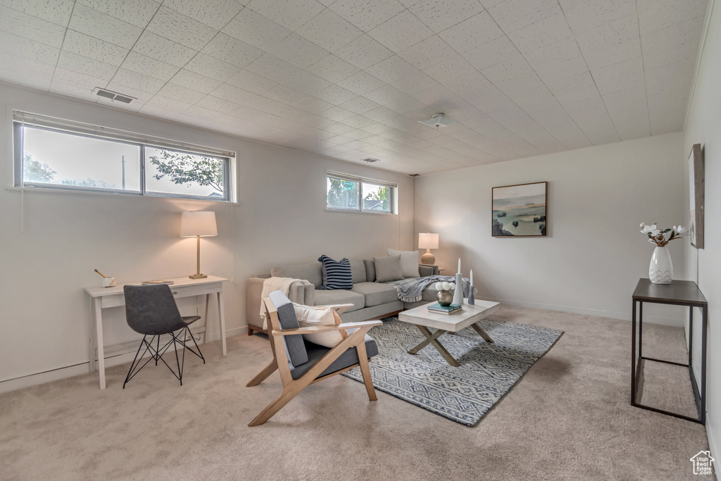 Carpeted living area with an office area