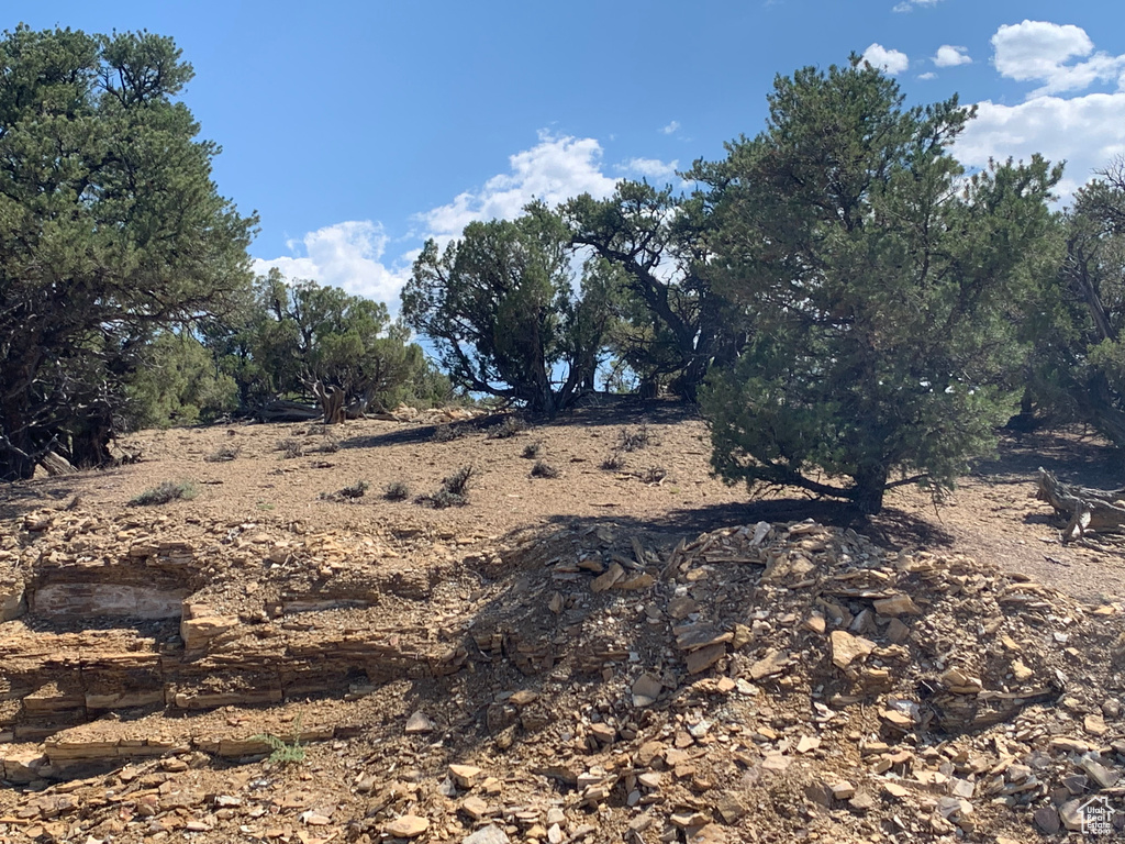 View of undeveloped land