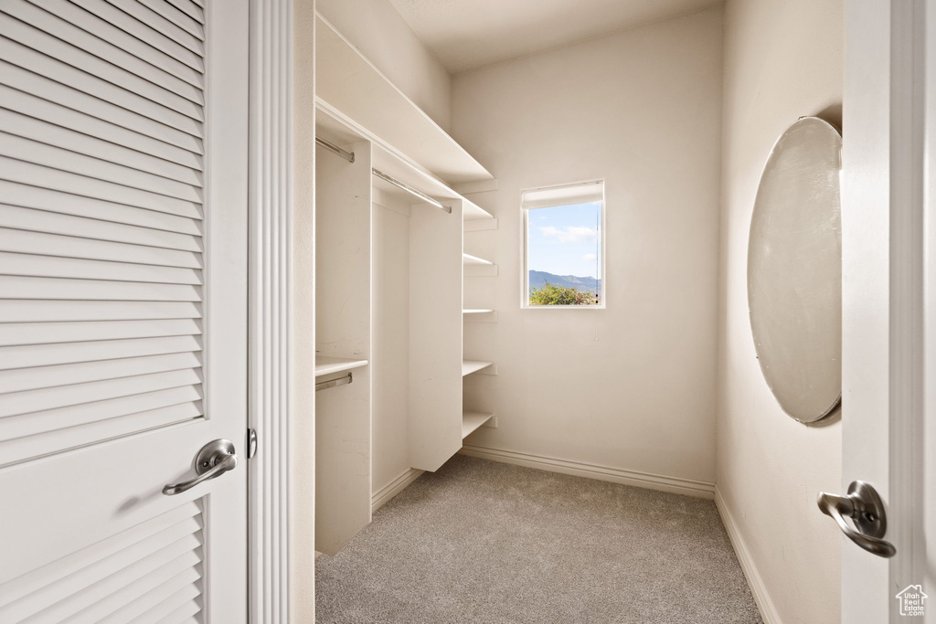 Spacious closet with carpet flooring