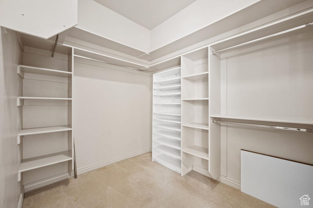 Walk in closet with carpet