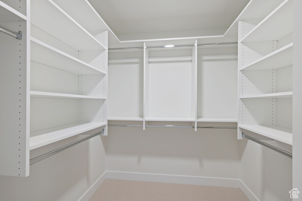Walk in closet featuring carpet floors